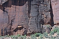 Crazy rock climber in Zion National Park