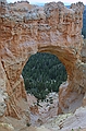 Bryce Canyon National Park, Utah